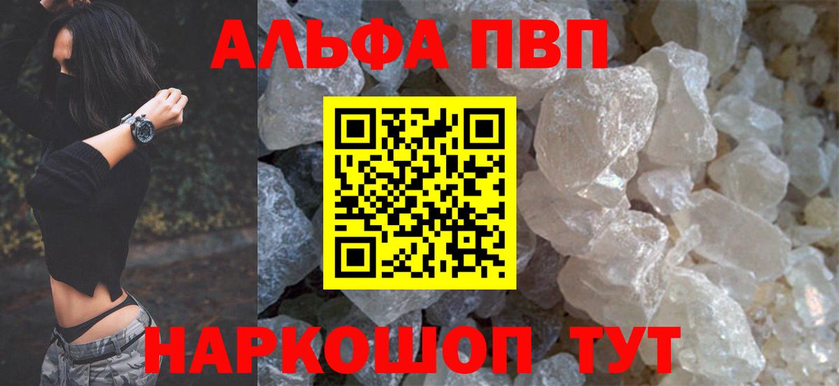 Alfa_PVP СК КРИС Светлоград