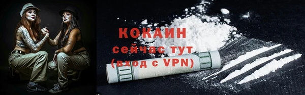 СК Осинники