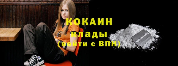 ПСИЛОЦИБИНОВЫЕ ГРИБЫ Пересвет