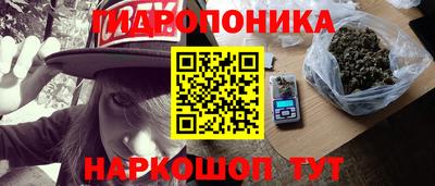 ECSTASY Гатчина