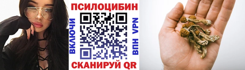 Галлюциногенные грибы Magic Shrooms Светлоград