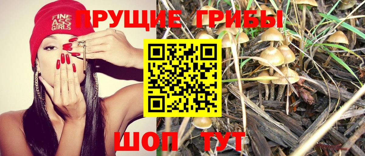 Галлюциногенные грибы Magic Shrooms Светлоград