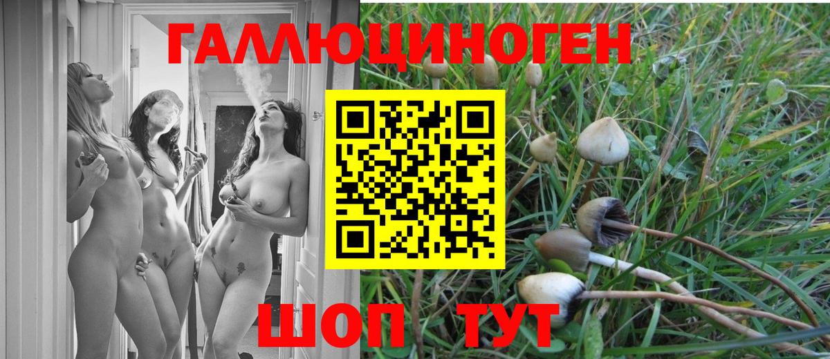 Светлоград  Псилоцибиновые грибы MAGIC MUSHROOMS  Вход с VPN 