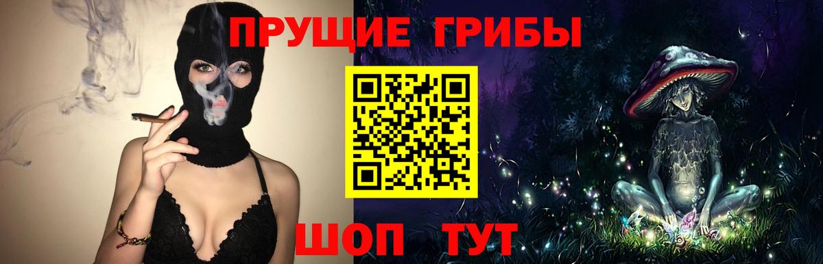 Псилоцибиновые грибы Psilocybe Светлоград